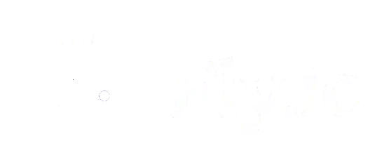 Logo fly